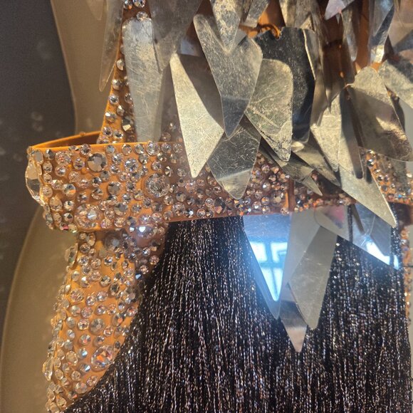 VESA SILVER FRINGE LATIN RHYTHM BALLROOM DRESS - Picture 11 of 13